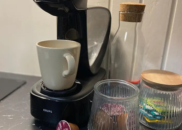 Nouveau Oasis Apartment